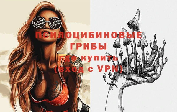 СК Лагань