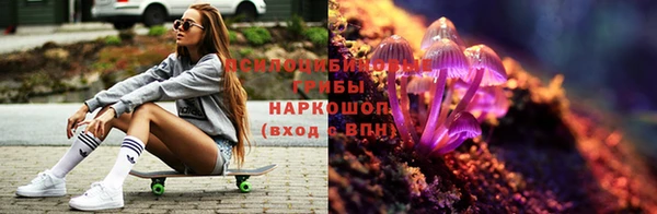 Альфа ПВП Ладушкин