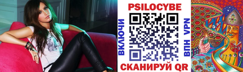 Купить где  Славянск-на-Кубани  Псилоцибиновые грибы Psilocybine cubensis 